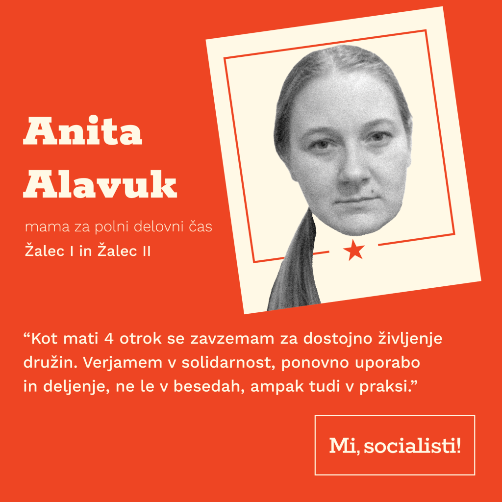 Volilna enota 5 Celje_Alavuk Anita