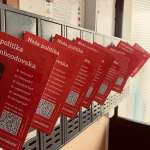 Programske usmeritve Mi, socialisti!